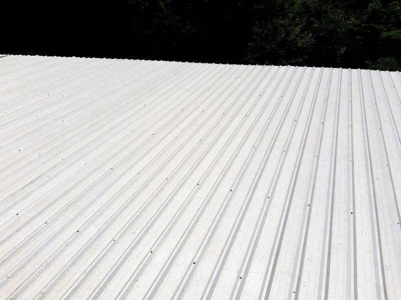 Galvanized Roof Repair
